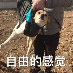 如何用学生卡买苹果手机(如何用学生卡买苹果手机便宜)