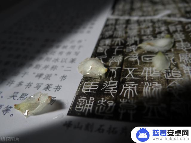 自己网友抖音网名(自己网友抖音网名怎么取)