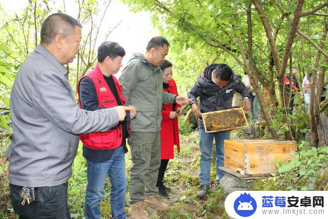 抖音城市打卡助力(抖音城市打卡助力是真的吗)