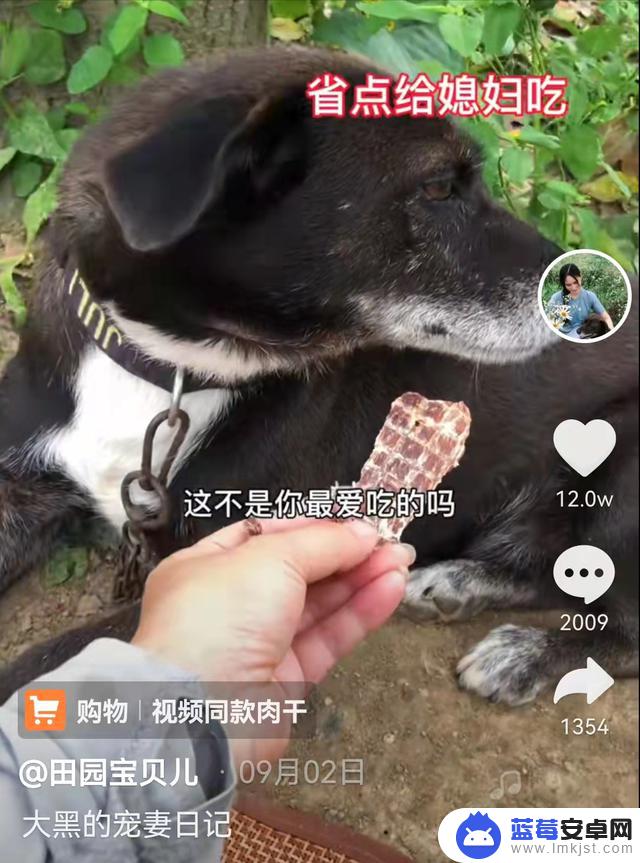 抖音在线云宠物(抖音在线云宠物怎么设置)