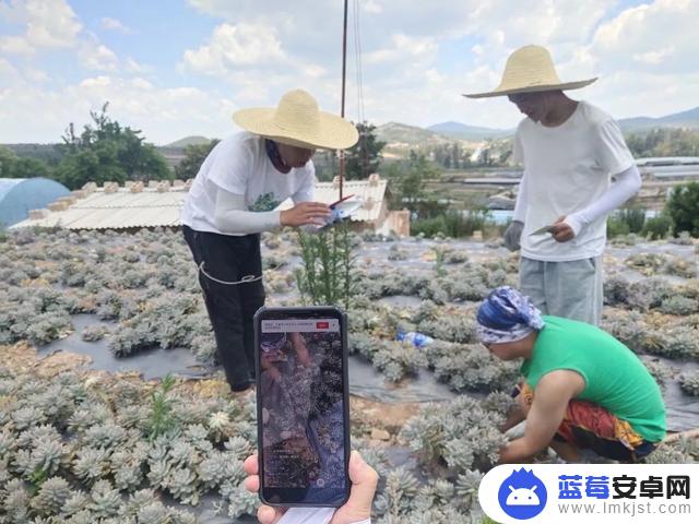 抖音肉肉 多大了(抖音肉肉资料简介)