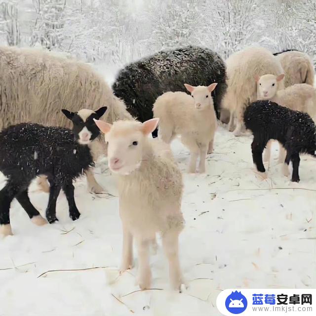 当下抖音环境背景(抖音平台的背景)