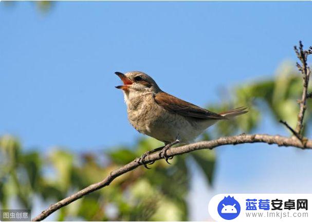 初中孩子手机公约怎么写(初中生手机公约怎么写)