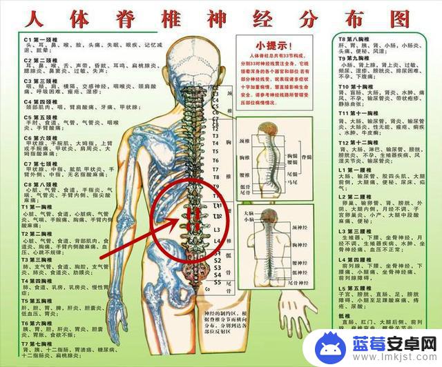 正骨后仰疼痛抖音(正骨前后)