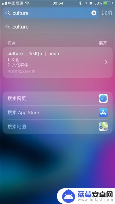苹果手机搜索栏设置词典(苹果手机搜索栏设置词典怎么设置)