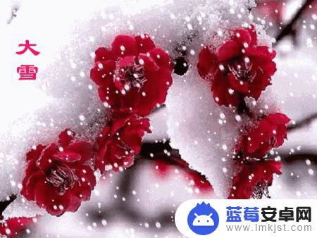 大雪图片抖音说说(大雪图片抖音说说搞笑)