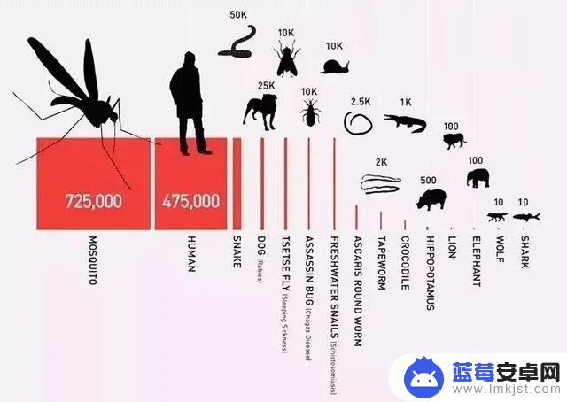 日本叮叮上抖音(日本叮叮是什么牌子)