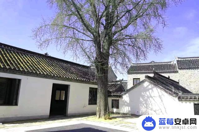 建湖金玉芹抖音(建湖县金玉庭园地址)