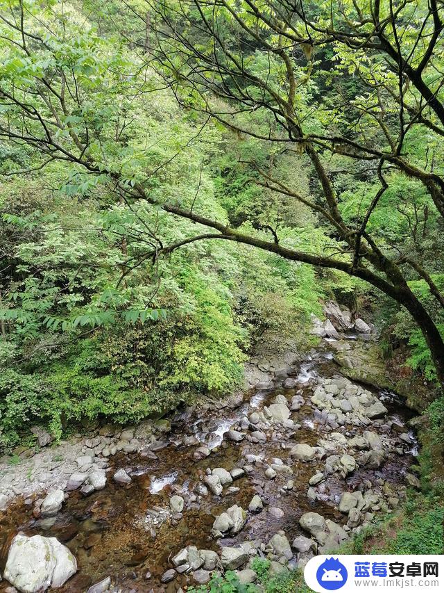 抖音梵净山之歌(抖音梵净山之歌是真的吗)