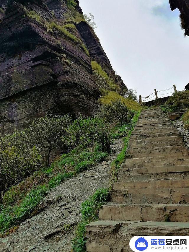 抖音梵净山之歌(抖音梵净山之歌是真的吗)