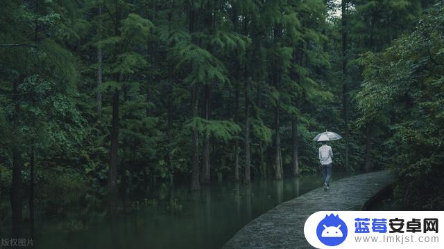 雨天拍照抖音文案(雨天拍照抖音文案怎么写)