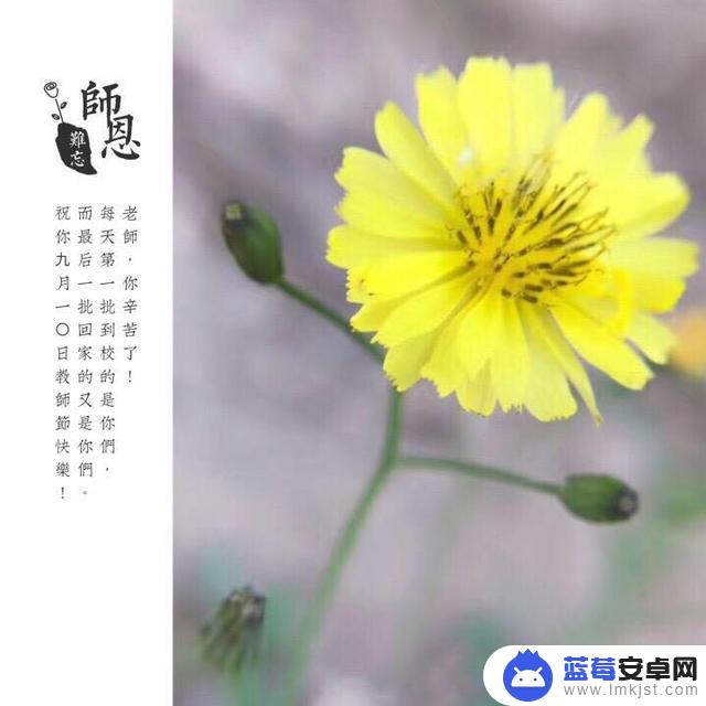 手机如何制作名字贴片(手机如何制作名字贴片图)