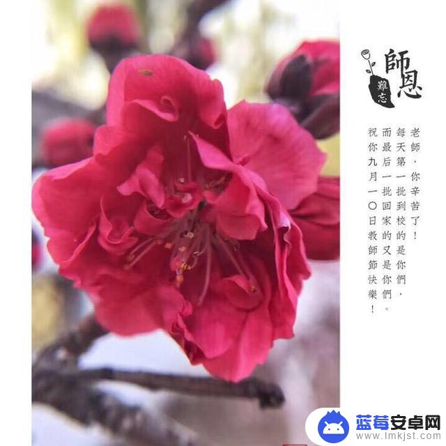 手机如何制作名字贴片(手机如何制作名字贴片图)