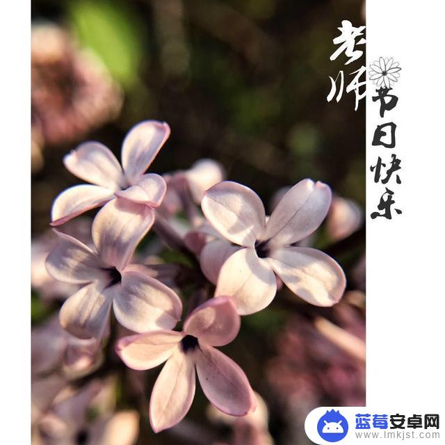 手机如何制作名字贴片(手机如何制作名字贴片图)