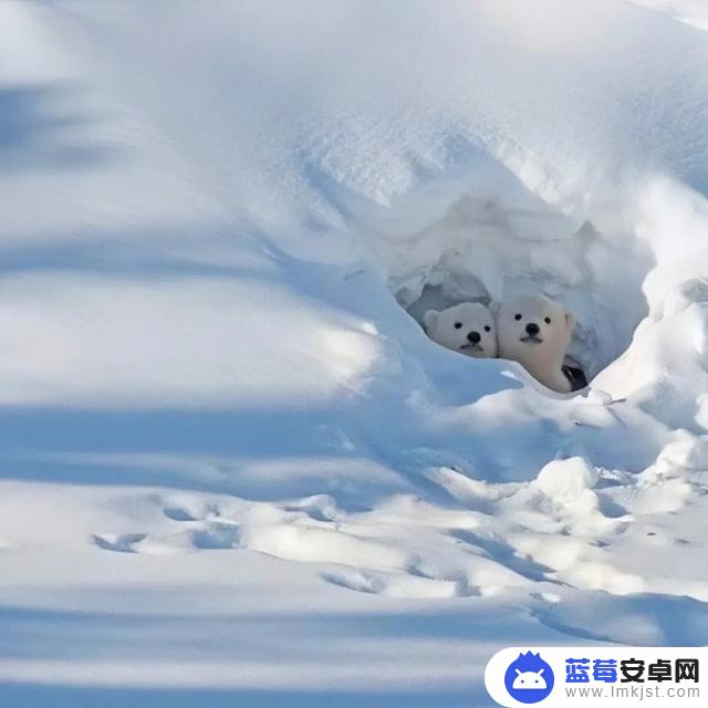 抖音封面推荐图片(抖音封面简介怎么写)