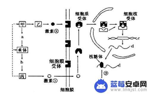 晚上刷抖音危害(晚上刷抖音危害大吗)