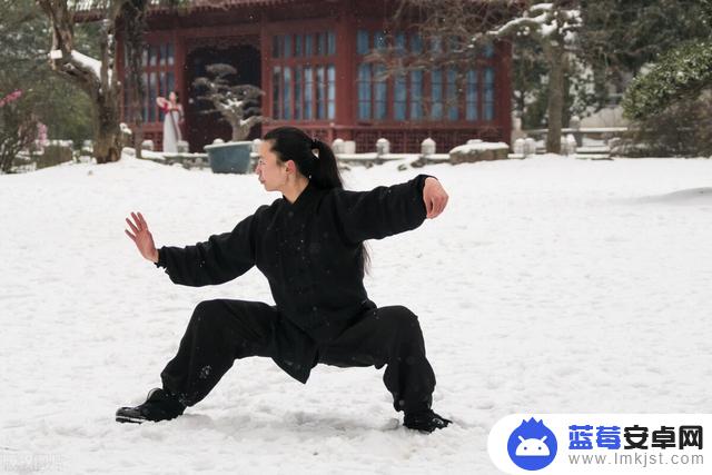 女武术视频抖音(女武术视频抖音大全)