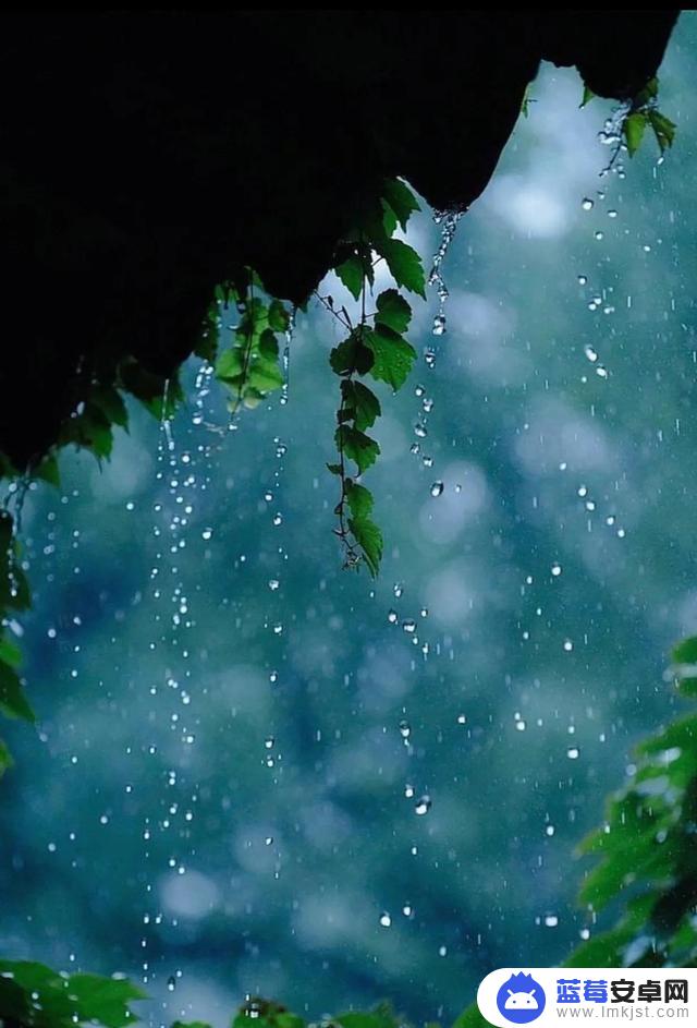 雨天拍照抖音句子(雨天拍照抖音句子搞笑)