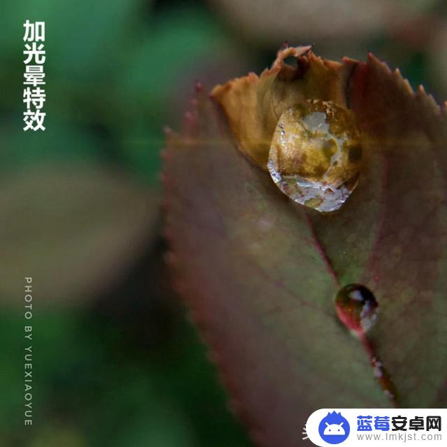 苹果手机光晕设置(苹果手机的光效在哪里)