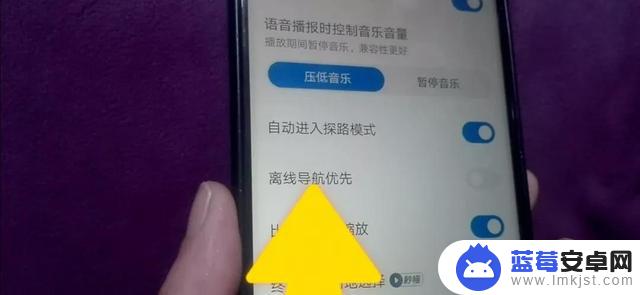 手机导航上的设置(手机导航方式设置在哪里)