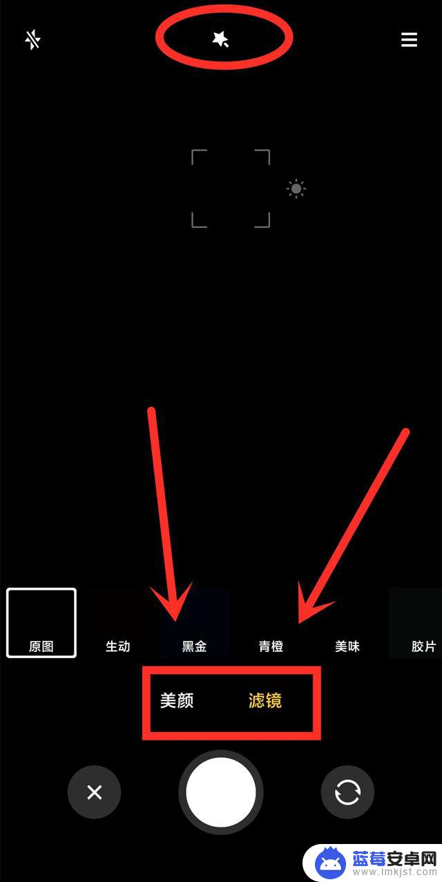 手机盛世美颜怎么拍(手机盛世美颜怎么拍视频)