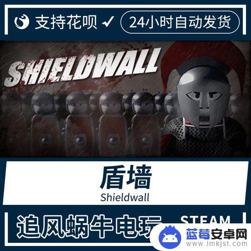 steam盾墙多少钱(steam游戏盾墙多少钱)