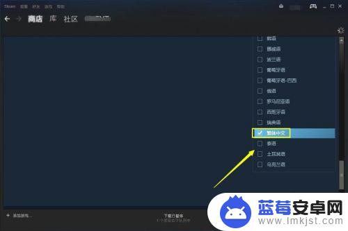 steam上怎么搜中文游戏(steam怎么搜索中文游戏)