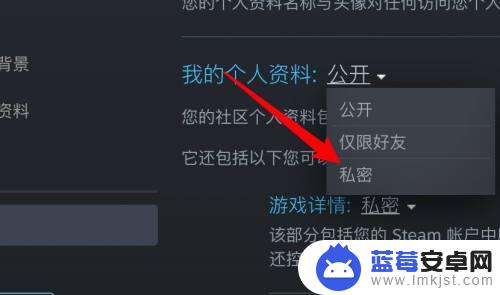 Steam隐藏购买游戏动态，试试这个简单的解决方法