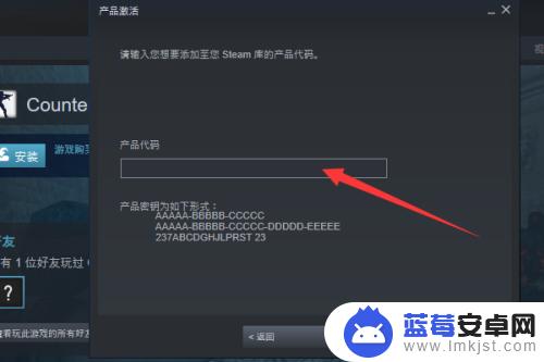 steam cdkey怎么兑换(steamcdkey怎么兑换手机)