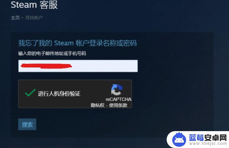 steam更改密码无效 STEAM找回密码人机验证无效怎么办