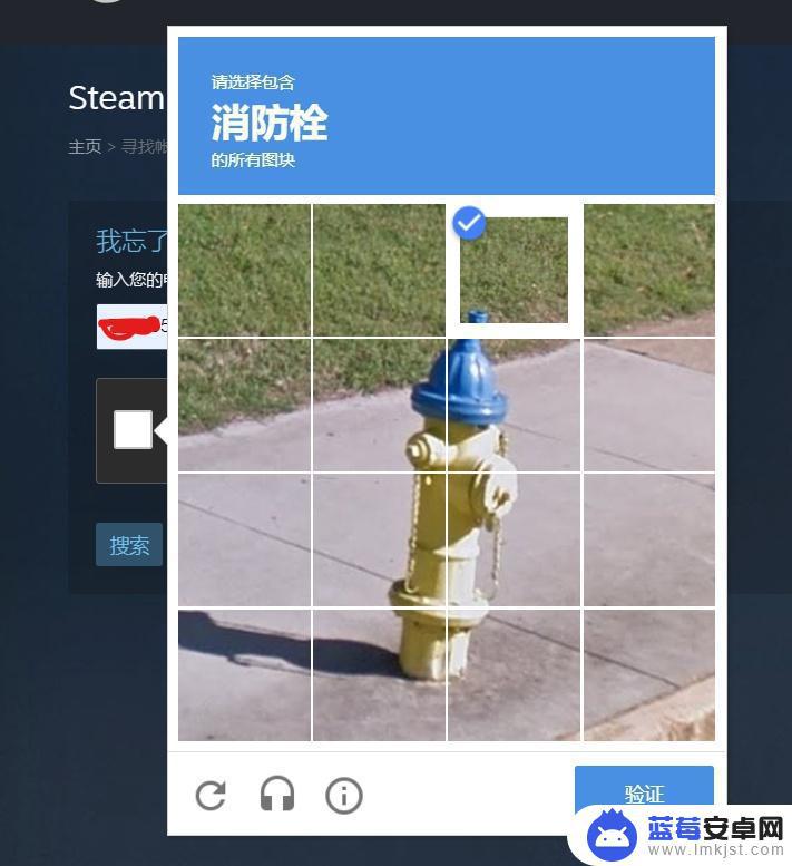 steam更改密码无效 STEAM找回密码人机验证无效怎么办