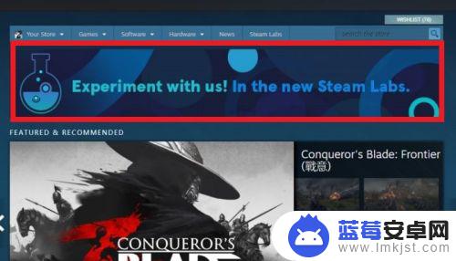 steam总游戏时间 如何在STEAM实验室中查看游戏总时间明细？