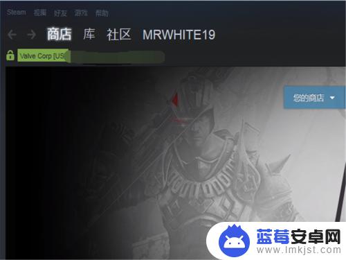 steam怎么玩游戏? steam平台新手如何下载并玩游戏