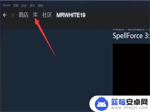 steam怎么玩游戏? steam平台新手如何下载并玩游戏