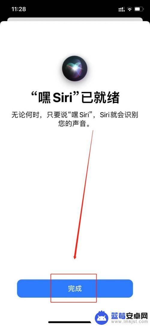 苹果手机的siri该怎么唤醒 苹果手机语音唤醒Siri设置方法详解