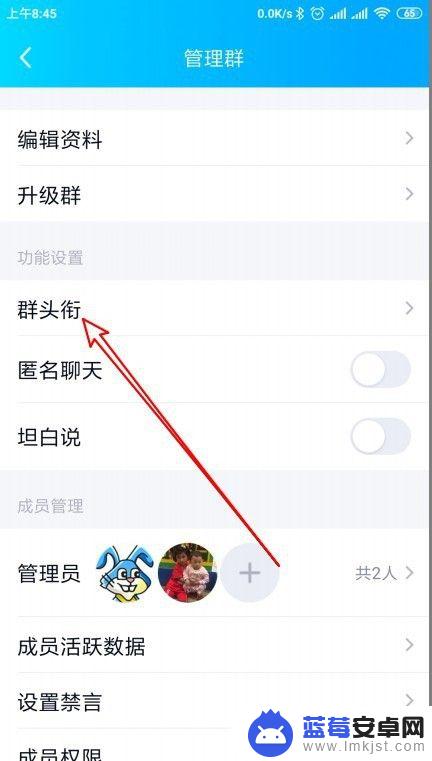 手机qq怎么开启称号 qq群管理如何设置成员等级头衔的可见性