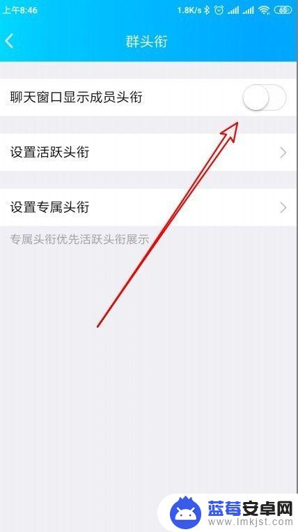 手机qq怎么开启称号 qq群管理如何设置成员等级头衔的可见性