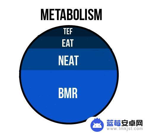 怎么调节手机代谢 怎样加速代谢，避免代谢慢陷阱