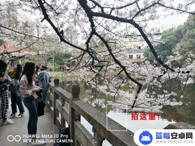 冬天手机怎么拍樱花 如何调节手机相机的曝光值拍摄樱花景观？