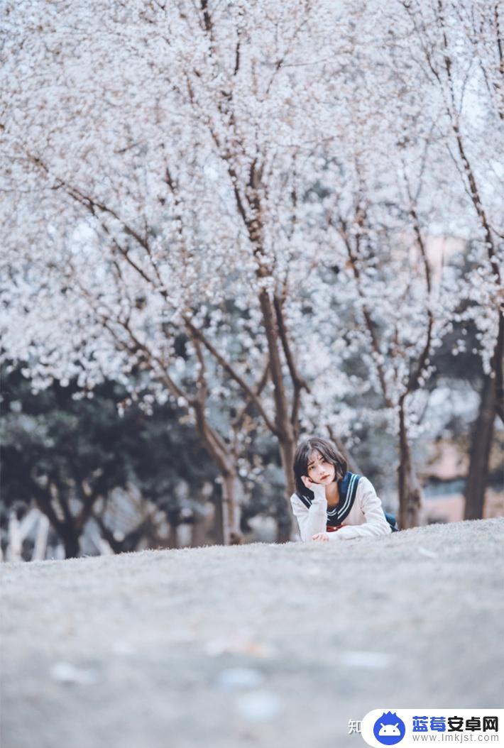 手机樱花如何拍证件照 如何拍摄樱花更吸引人的照片？