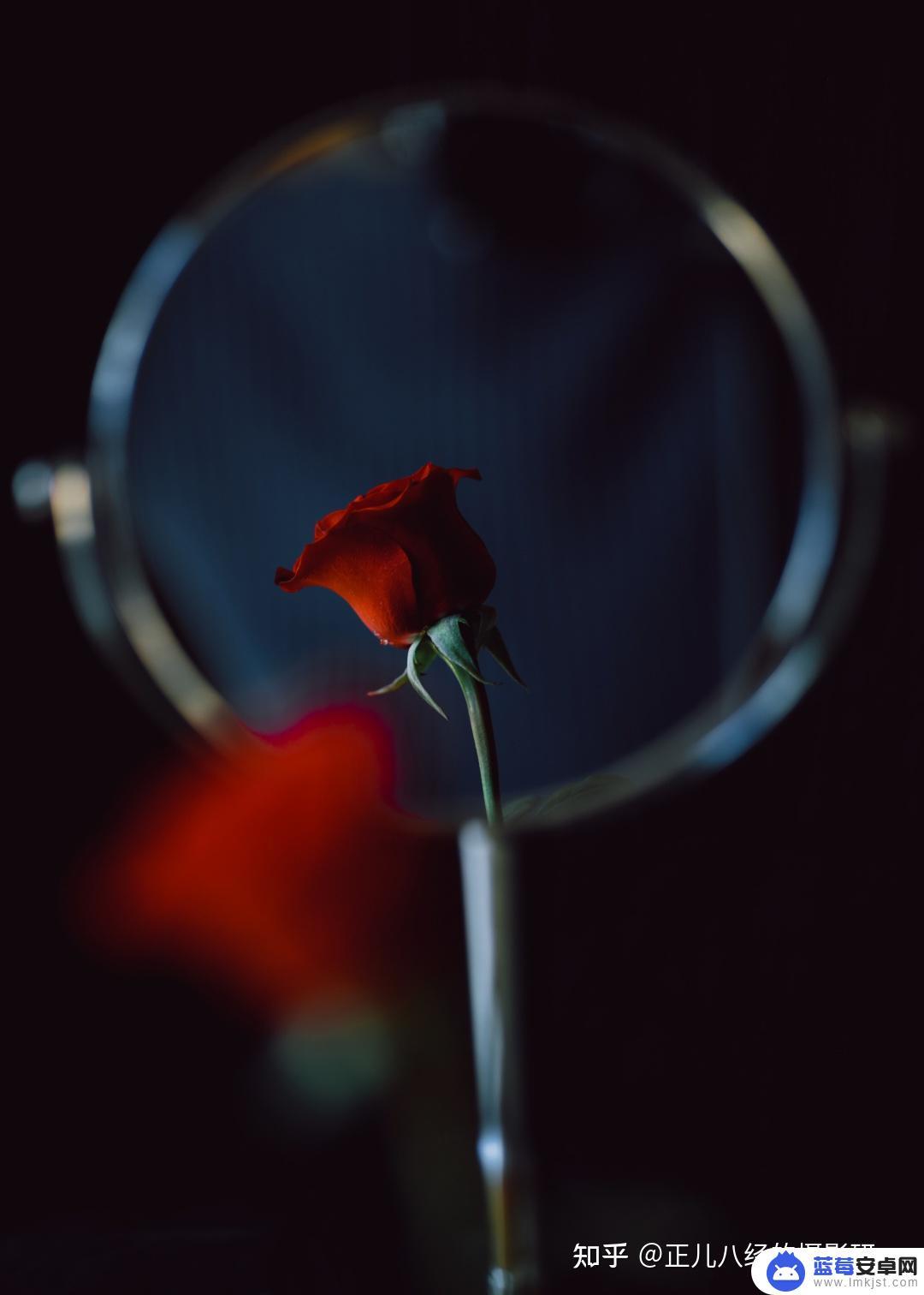 手机拍照玫瑰怎么处理 如何拍出玫瑰花的细节与色彩