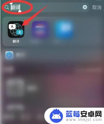 苹果手机中文翻译英文哪里找 苹果手机自带翻译器怎么用