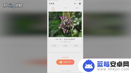 如何识别手机上的花 如何用手机APP快速识别花的种类