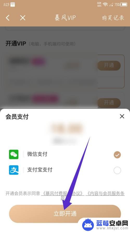 手机暴风怎么领取会员 暴风影音app VIP会员充值方式及费用是什么？