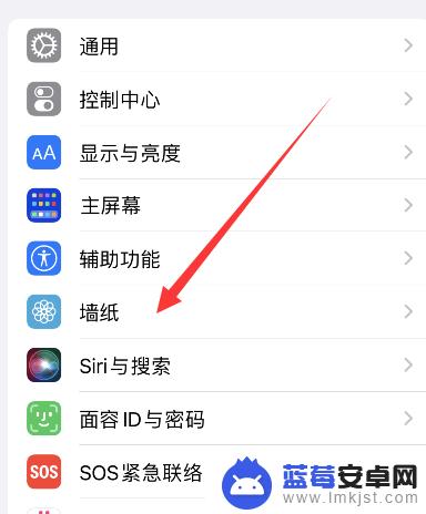 苹果手机桌面只有搜索 iphone桌面模糊只有搜索设置怎么办