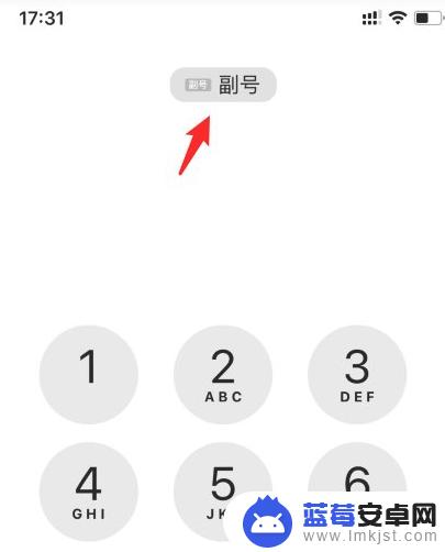 苹果手机主副号切换打电话 怎么在苹果手机上切换主副号的方法