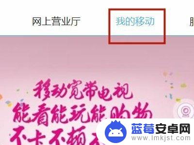 手机如何上网查询通话记录 如何查看手机通话记录？