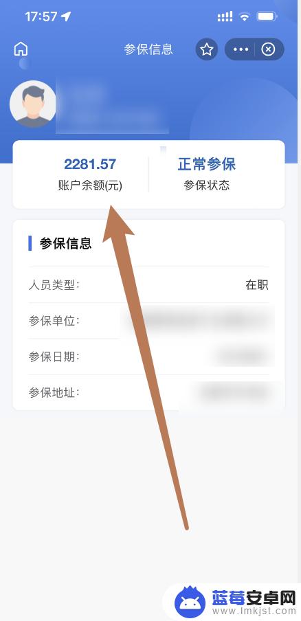 手机怎么查老人卡余额 怎么在手机上查询老年人社保卡余额