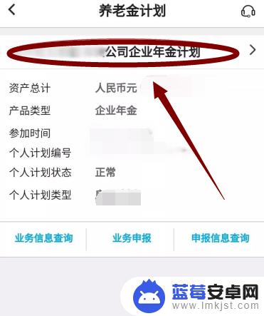 职业年金手机怎么查询 个人职业年金查询方式