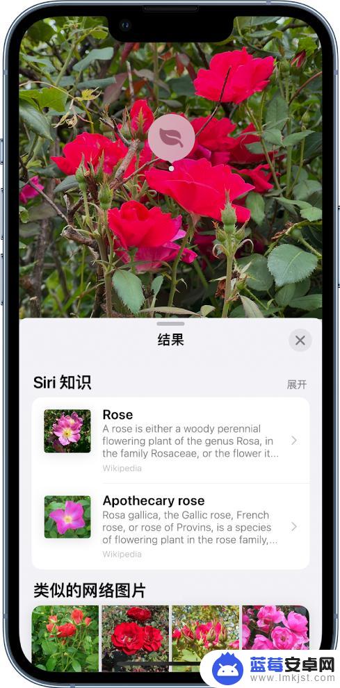 iOS 17升级“看图查询”功能，可识别仪表盘图标告诉你跳灯原因